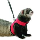 Parure harnais et laisse pour furet Marshall Neoprene