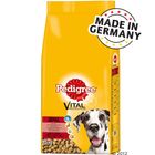 Pedigree Adult Maxi mit Rind