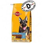 Pedigree Complete Deutscher Schäferhund