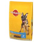 Pedigree Complete Junior Maxi Pollo & Riso