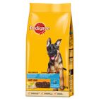 Pedigree Complete Junior Maxi z kurczakiem i ryżem