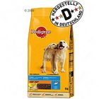Pedigree Complete Junior mit Huhn & Reis