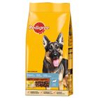 Pedigree Complete pre nemecké ovčiaky