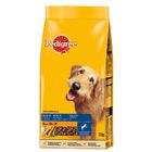Pedigree Complete Senior