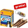 28 Pedigree Denta Stix + Pendente porta indirizzo gratis!