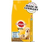 Pedigree  Junior con pollo y arroz