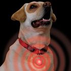 Pendentif de sécurité pour chien à diode lumineuse