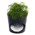 Pet Planter Kattenhol en Bloempot 2 in 1