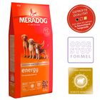 Pienso Meradog Energy