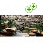 Pierres arc-en-ciel pour terrarium