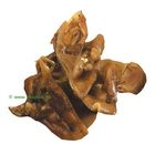 Pig Ear Auricles
