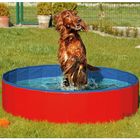 Piscine pour chien Doggy Pool