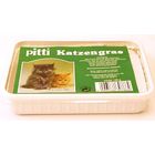 Pitti Cat Grass in Tray
