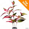 Plante aquatique artificielle pour aquarium Alternanthera