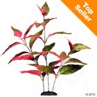Plante aquatique artificielle pour aquarium Alternanthera