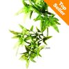 Plante en plastique pour terrarium Hagen Exo Terra Croton