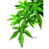 Plante en soie pour terrarium Hagen Exo Terra Abutilon