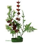 Planten-Compositie 2 voor uw aquarium