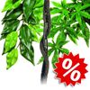 2 plantes artificielles en soie + liane Flexible Hagen
