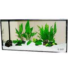 Plantes d'aquarium Zooplants 