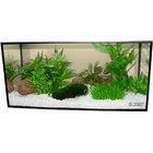 Plantes d'aquarium Zooplants 
