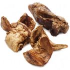Polmoni di cavallo