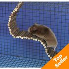 Pont suspendu pour hamster