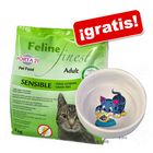 Porta 21 Feline 10 kg + comedero de cerámica ¡gratis!