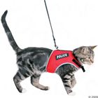 Postroj pro kočky XCat
