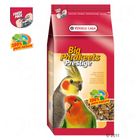 Prestige Big Parakeets