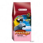 Prestige Premium African Papagei