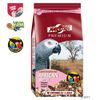 Prestige Premium African Parrot