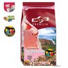 Prestige Premium Australian Papegaai