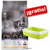 Pro Plan 10 kg + Bandeja Savic descubierta ¡gratis!