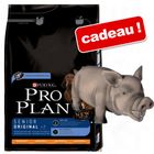Pro Plan 14 kg + jouet pour chien Cochon parlant en latex
