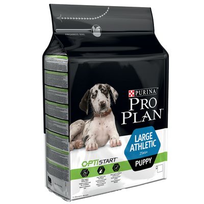 A Final Word Nov 07, · Purina Pro Plan Focus Dog Food receives the Advisor’s mid-tier rating of 3 stars. Purina Pro Plan Focus Adult Large Breed formula was selected to represent the other products in the line for this review. The first ingredient in this dog food is chicken. Although it is a quality item, raw chicken.