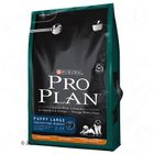 Pro Plan Puppy Large Robust kuře & rýže