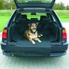 Protective Mat for Luggage Area
