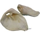 Puffed Pigs' Ears