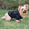 Pull  pour chien avec capuche North Bay