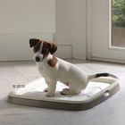Puppy Trainer Starter Set