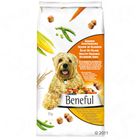 PURINA Beneful zdravý vzhľad