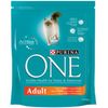 Purina ONE Adult kurczak & ryż