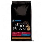 Purina Pro Plan Adult Large Robust Chicken & Rice