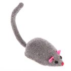 Racing Mouse Cat Toy
