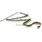 Rainbow Ribbon Dangle