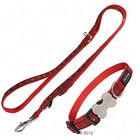 Red Dingo Set: Halsband Pawprints + Hundeleine