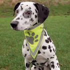 Reflective Safety Dog Bandana