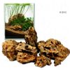 Rocce Dragon Stone - Ohko Rock