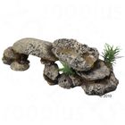 Roccia decorativa con piante
